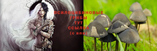 ГАЛЛЮЦИНОГЕННЫЕ ГРИБЫ Мегион