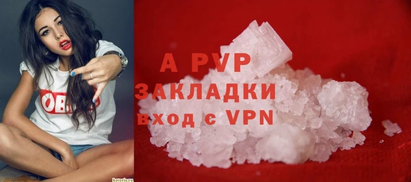 дживик Медвежьегорск
