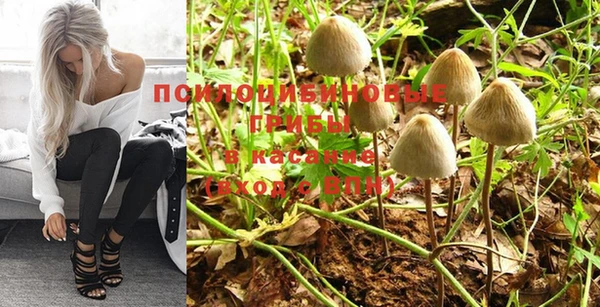 apvp Михайлов