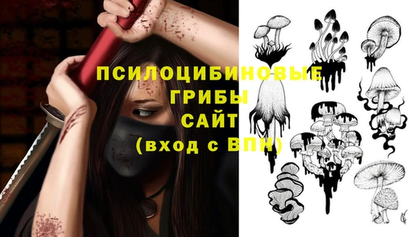 дживик Медвежьегорск