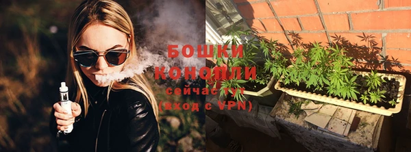 стафф Михайловск