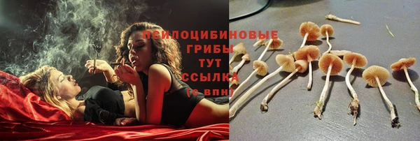 стафф Михайловск