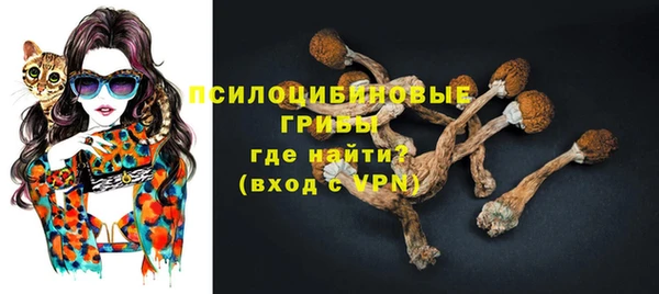 дживик Медвежьегорск