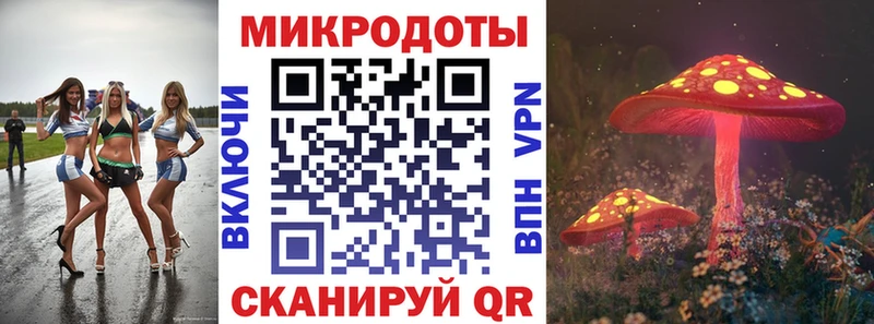 хочу   Ленинск  Галлюциногенные грибы Psilocybe 